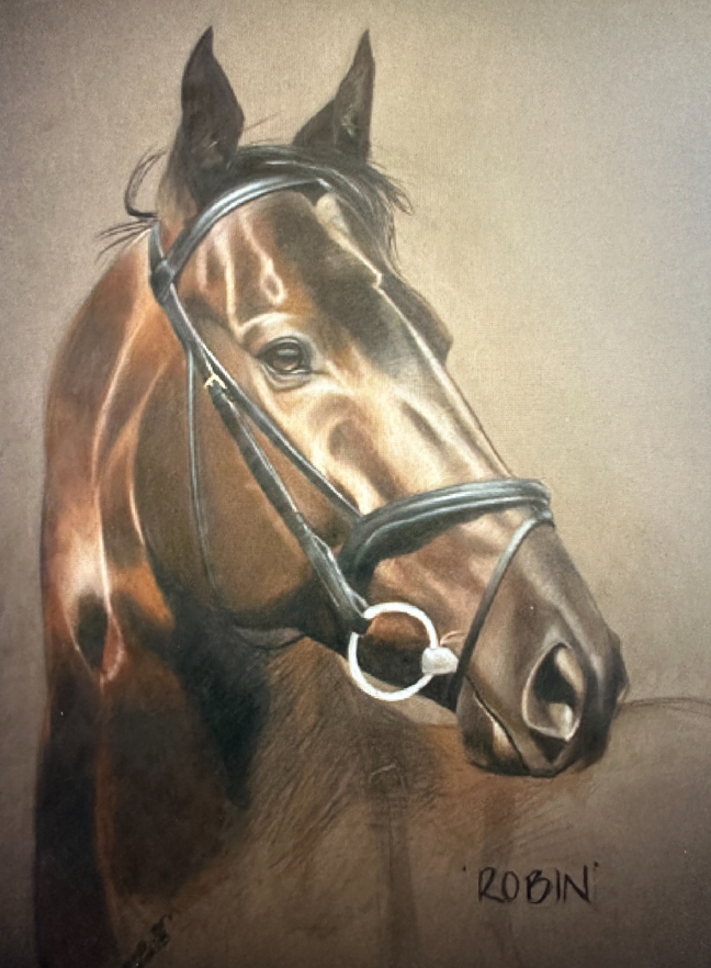 coloured pencil hand-drawn portrait of a horse